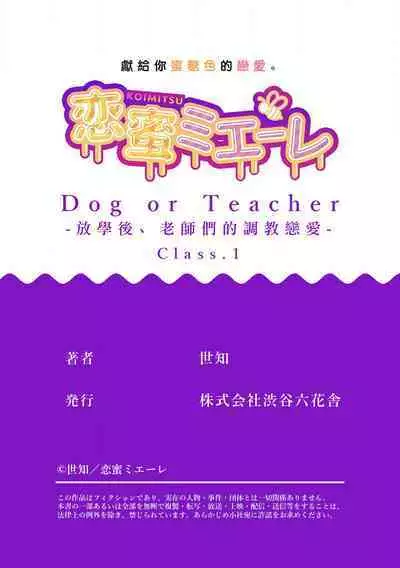 [Sechi] Dog or tīchā - hōkago, sensei-tachi no shitsuke ke ai - | Dog or Teacher-放学后，老师们的调教恋爱- Class.1 [Chinese] [莉赛特汉化组]