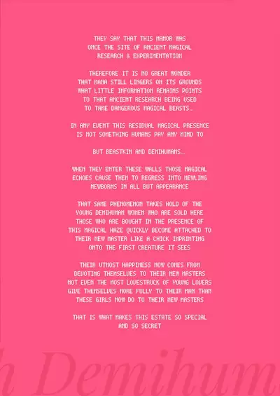 Himitsu no Shoukan de Ajin Maid o | A Secret Brothel with Demihuman Maids