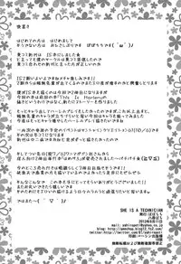 (C84) [Popochichi (Yahiro Pochi)] SHE IS A TECHNICIAN (Infinite Stratos) [English] [Life4Kaoru]