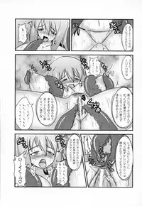 (C79) [FONETRASON (Ryutou)] Shield Knight Elsain Extra Collection