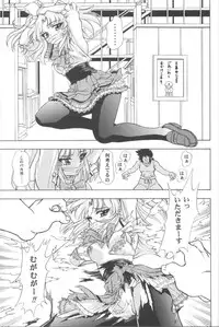 (C54) [Studio Wallaby (Various)] VITAMIN-B5 1/2 Ruri Ruri Naisho no Arbeit Nikki (Martian Successor Nadesico)