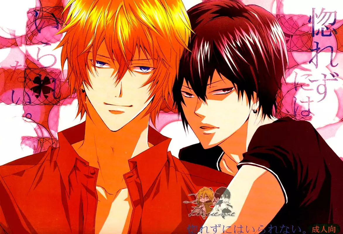 Horezu ni wa Irarenai