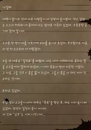 Sage Lavinia's Last Note ~ In the ruin of orc fort ~