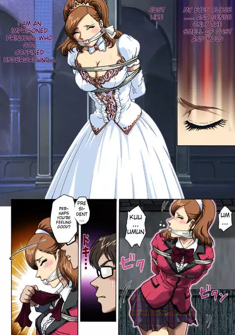 Toraware no Seito Kaichou | Imprisonment of Student Council President