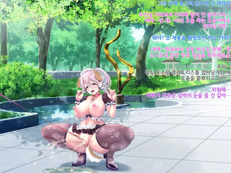 Super Sonico Soushuuhen Tsuika Episode Kouen Sanpo Hen