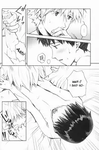 (Kimi to no Rendan 3) [Getsumen-Spiral (Mayama Satori)] Sexuality no Risouron (Neon Genesis Evangelion) [English] [TyroLuuki]