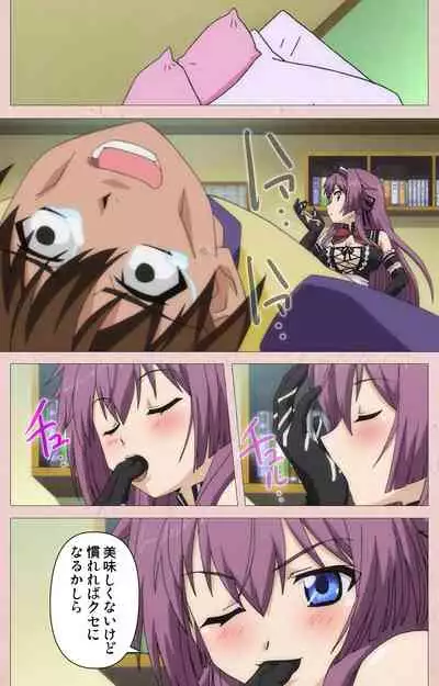 Tsun Tsun Maid wa Ero Ero Desu complete ban