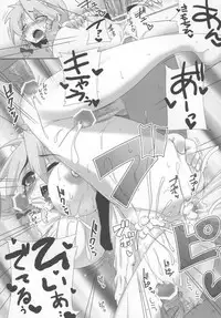 (C73) [Raiden Labo (Raiden)] Pad no Tadashii Tsukaikata, (Touhou Project)