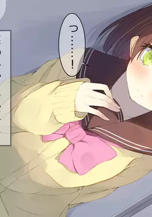 Ore no Kanojo ni wa Nekomimi ga Haeteiru