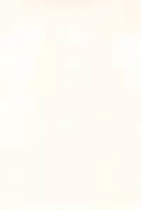 (C52) [Sancho Panda (PiYo, Kotono Wakako)] Muchuu ni Saseru Kare ga Suki (Bakusou Kyoudai Lets & Go!!)