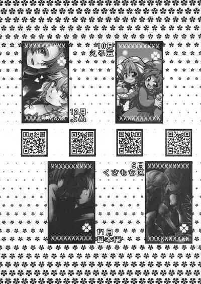 Touhou Kouginmu 2 | 東方紅銀夢2