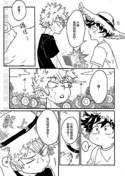 (Douyara Deban no Youda! 17) [Ultimate safaripark (Horiuchi Mochiko)] Saraba Itoshi no (Boku no Hero Academia) [Chinese]