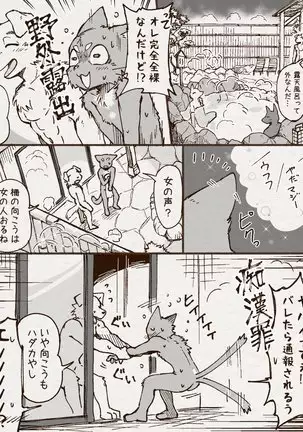 アオカネ銭湯日記