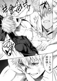 Leucocyte no Fuan Zairyou