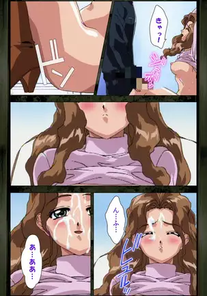 Saishuu Chikan Densha kanzenhan