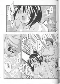 (CR26) [Studio Wallaby (Various)] SECRET FILE 003 (Starship Girl Yamamoto Yohko)