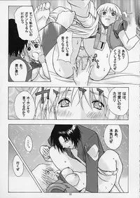 (C64) [Studio Wallaby (Kika = Zaru)] G-SEED Princes (Kidou Senshi Gundam SEED)