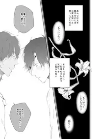 [urashikabane (Koguma Miyuki)] You're my only shinin' star (Touken Ranbu) [Digital]