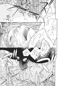 (C72) [From Japan (Aki Kyouma)] FYC R11Y (Queen's Blade, Soulcalibur) [Digital]