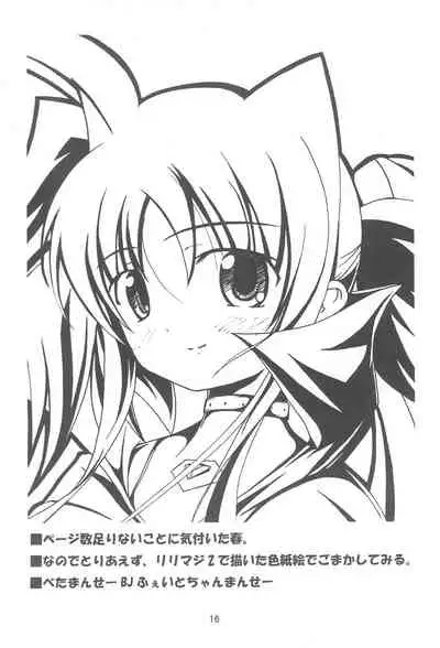 (SC36) [FakeTale (Kunon)] FORTISSIMO (Mahou Shoujo Lyrical Nanoha)