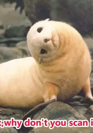 Kagerou-gata ni wa Makenain dakara!