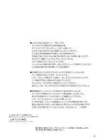 (C83) [Reverse Noise (Yamu)] Imouto ni Nekomimi nado ga Haeteshimaimashita. (Touhou Project)