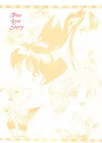 [HIGH RISK REVOLUTION (Aizawa Hiroshi)] Marmalade Kiss (True Love Story) [1997-05-25]