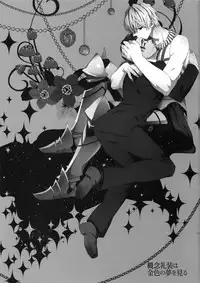 (SPARK11) [Crazy9 (Ichitaka)] Gainen Reisou wa Kiniro no Yume o Miru 3 (Fate/Grand Order)