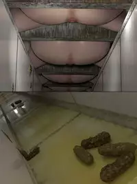 [Sanbaizu] Mizo Toile o Mashita kara [Gakkou Hen]