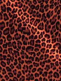 [NB Teishoku (Nabuu)] Maa-kun ga Motamota Shiteru Aida ni Megumin wa Warui Oji-san ni Hikkakarimashita (Amano Megumi ha Sukidarake!) [Chinese] [不咕鸟汉化组]