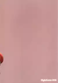 (C91) [Digital Lover (Nakajima Yuka)] D.L. action 112 (Girls und Panzer) [Chinese] [空気系☆漢化]