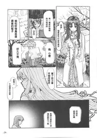 Fate/Final Fantasy(fate/stay night) (chinese)(xxx混合)