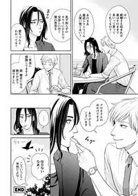 comic marginal vol.11