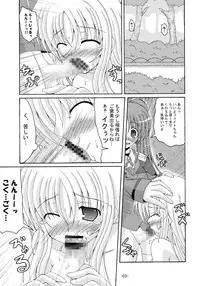 [Dream Project (Yumeno Shiya)] Lyrical Magical Ecchi na Fate-san wa Suki? 2 (Mahou Shoujo Lyrical Nanoha)