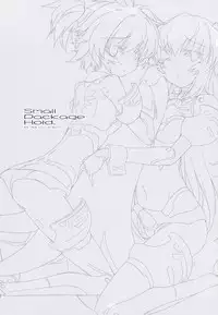 (C83) [korokoro koronP (Fujiwara Warawara)] Small Package Hold. (Busou Shinki)