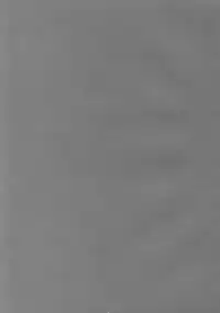 (C76) [Asanoya (Kittsu)] Ri-chi Ippatsu Chou Chichi Tsumo (Saki)