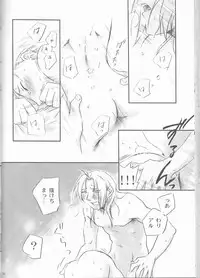 [Nenone-ya (Nenone Miya)] Taion (Fullmetal Alchemist)