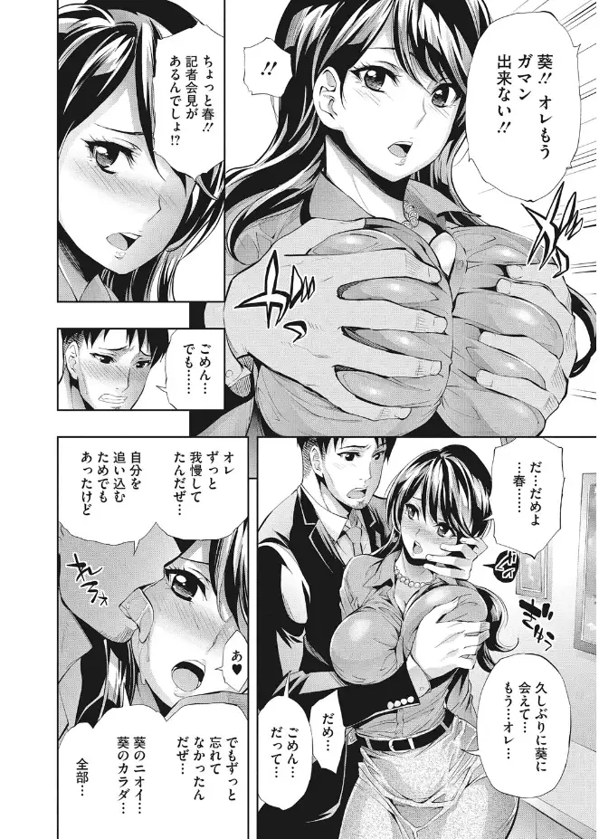 Kirei na Hito to H no Houteishiki