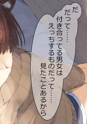 Ore no Kanojo ni wa Nekomimi ga Haeteiru