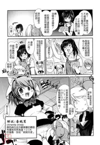 [Ni-bina mo totsumen-tai] nekokino to ame no machi (Fujimi komikkusu) (chinese)(悠月工房汉化)