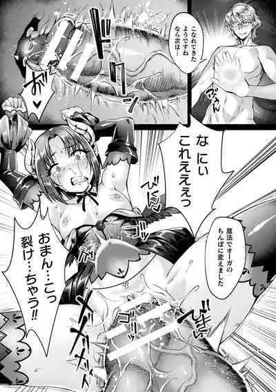 Kukkoro Heroines Vol. 36