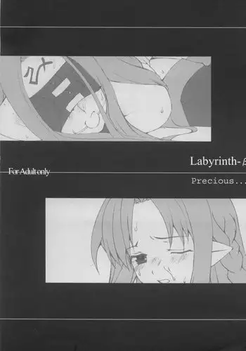 (CR35) [Precious... (Haoto Luna)] Labyrinth-β (Fate/stay night)