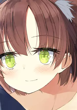 Ore no Kanojo ni wa Nekomimi ga Haeteiru