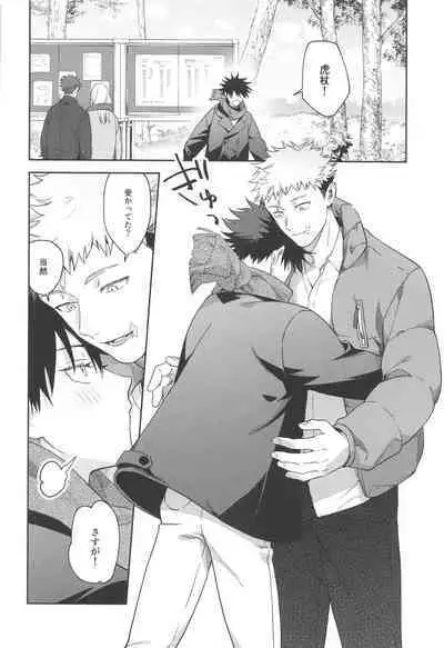 Usagi wa Haru ga Yoku Niau