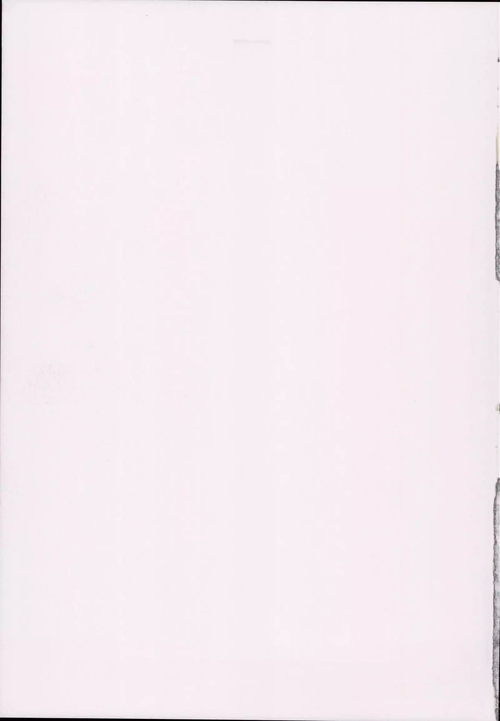 Reima Shoukan Shigure ~Inyoku ni Mamireta Uragiri no Chuuken~ 修圖]