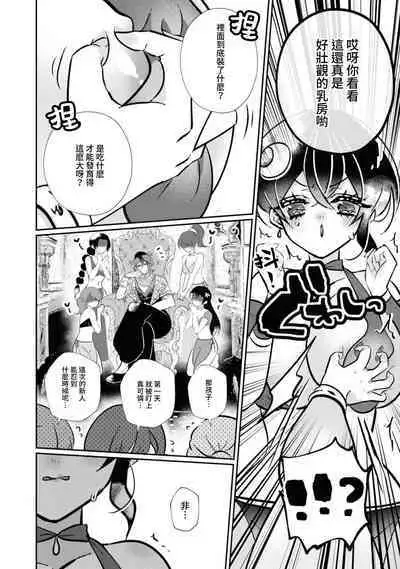 [Miyoshi no] futarinoyoake ~ shikakunanoni amai yotogi ni toke chaimasu ~ | 二人的黎明~身為刺客卻反而被目標 融化在甜蜜的夜晚裡~ (Tekikoku Ouji ni Ikasarechau Anthology 3) [Chinese] [莉赛特汉化组]