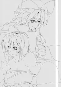 (C77) [Kara no Tsuki (Toono Yayoi)] Touhou Mousou Kyou 14 (Touhou Project)