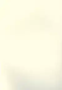 [White Rabbit (Inabai Mari)] ONE (Yu-Gi-Oh!)