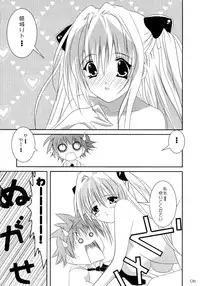 (C75) [Setsugetsuka (Fuyukawa)] Kyonyuu na Yami-chan wa Suki desu ka? (To LOVE-Ru)