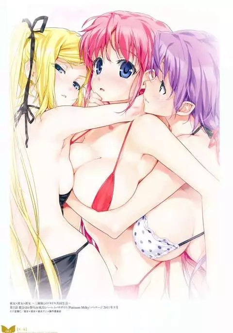 Happoubi Jin Gashuu Hoteri